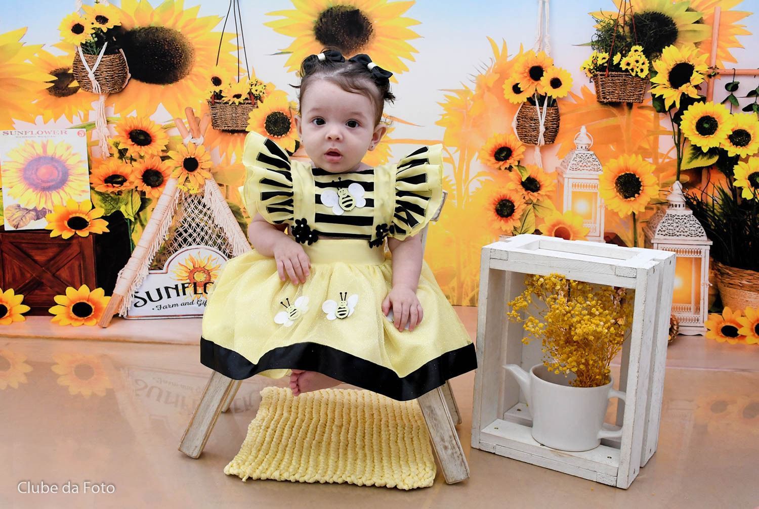 Vestido Princesa Abelha em Tule 100% Poliéster para Crianças de 3 Meses a 2 Anos