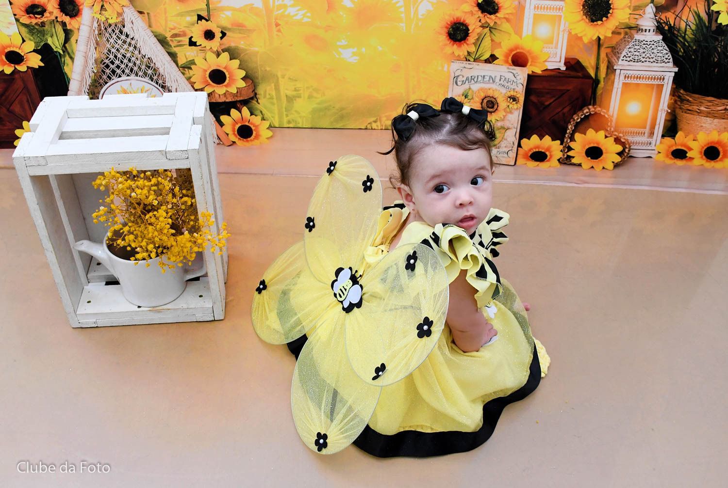 Vestido Princesa Abelha em Tule 100% Poliéster para Crianças de 3 Meses a 2 Anos